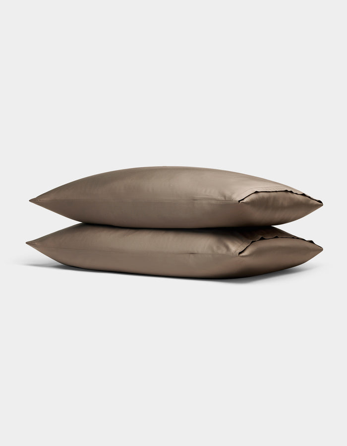 Walnut / Standard