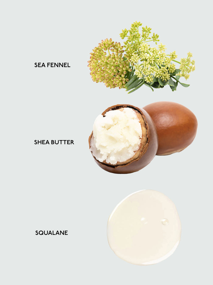 Here's a visual showcasing three key ingredients in Cozy Earth's Body Butter. At the top, there's an illustration of sea fennel. In the center, you can see a halved shea nut displaying the white shea butter inside. At the bottom, there's a sample of clear squalane oil. Each ingredient is clearly labeled for easy identification.|Size:Full Size