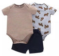 Brown Bear 3pc