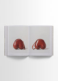 Carlos Peñafiel book open to red leather Seins bag photos styled on plain background