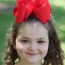 DBL Stack Feather Bows