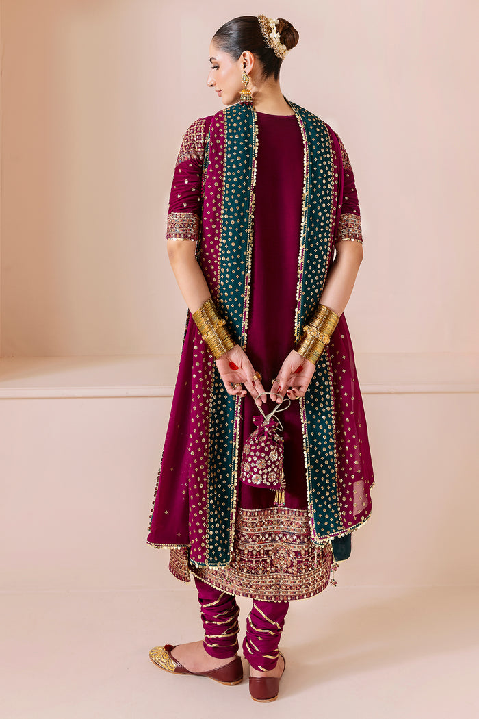 Embroidered Velvet Formal CVF25-D02