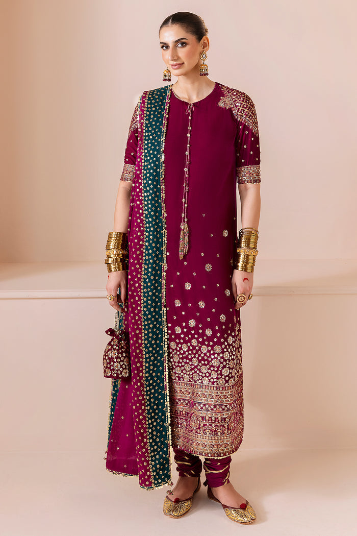 Embroidered Velvet Formal CVF25-D02