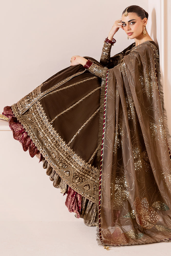 Embroidered Velvet Formal CVF25-D04
