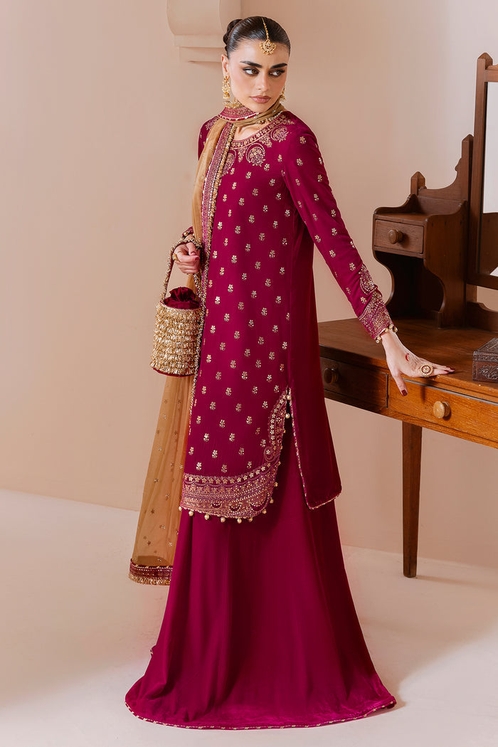 Embroidered Velvet Formal CVF25-D11