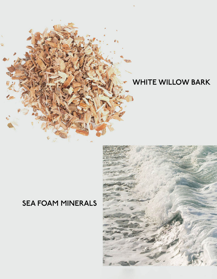 The product image for Cozy Earth's Gel Cleanser features three distinct elements: "White Willow Bark," depicted as a pile of shredded bark; "Sea Foam Minerals," represented by a frothy ocean wave |Size:Full Size