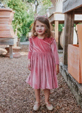 Pink Velvet Dress