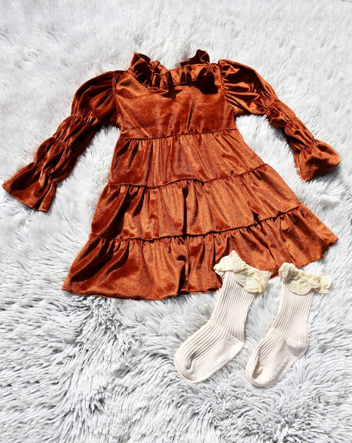 Rust Colored Velvet Dress 66