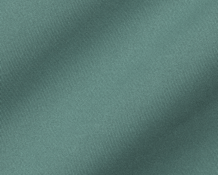 The Anderson Shirt: California Spruce