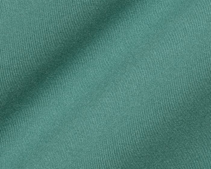 The Jackson Hoodie: California Spruce