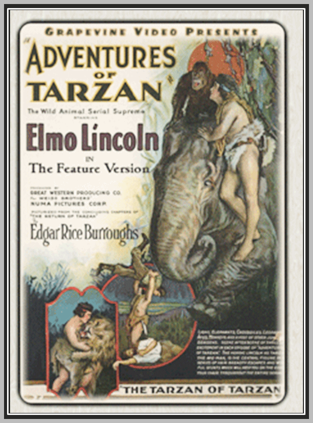 THE LEOPARD WOMAN - 1920 - HOUSE PETERS - SILENT - RARE DVD
