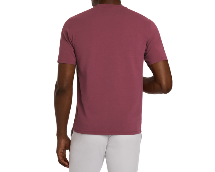 The Mason T-Shirt: Cabernet shown from the back, featuring a relaxed fit with short sleeves, highlighting its comfortable, midweight Peruvian pima cotton fabric.