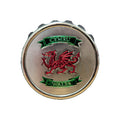 Wales Cymru Dragon Bottle Opener Magnet (Bottle Cap)