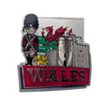 Wales Royal Castle Foil Magnet
