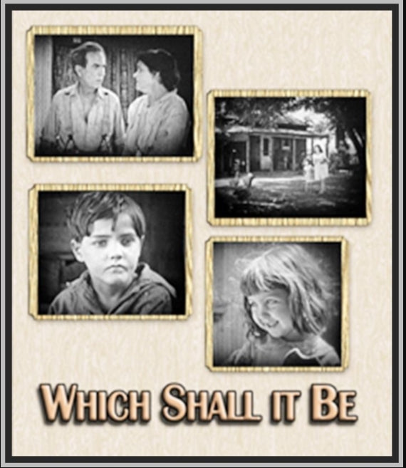WHICH SHALL IT BE? - 1924 - ETHEL WALES - SILENT - RARE DVD