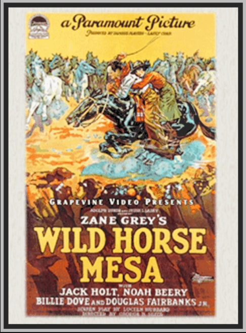WILD HORSE MESA - 1925 - JACK HOLT - SILENT - RARE DVD